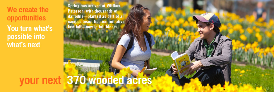 Your Next 370 Wooded Acres