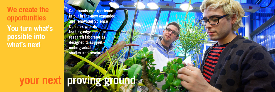 Your Next Proving Ground