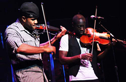 BlackViolin250.jpg
